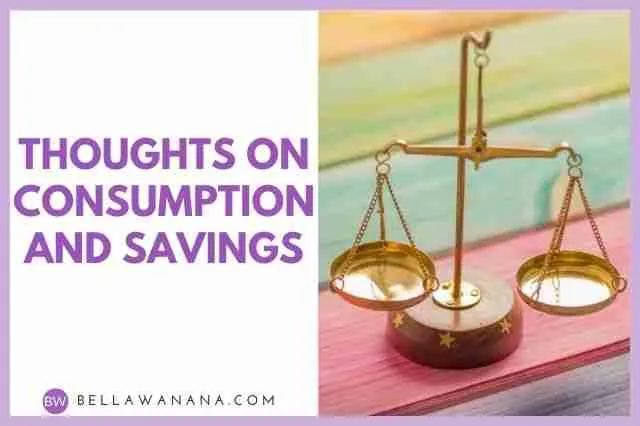 Thoughts on Consumption and Savings