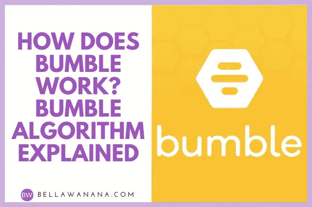 how does bumble work bumble algorithm explained