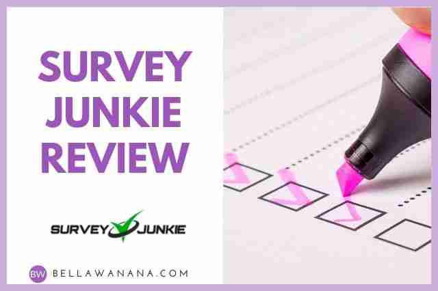 survey junkie review